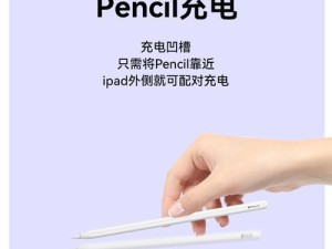 自制平板电脑套子制作教程（手工制作个性化平板电脑套，让你的设备与众不同）