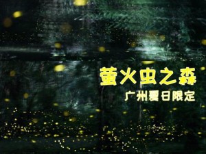 华为手机萤火虫拍摄方法指南（用华为手机捕捉美丽的萤火虫夜景）