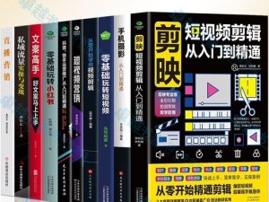 电脑剪映录音剪辑教程（使用电脑剪映软件，让你的录音变得更专业高效）